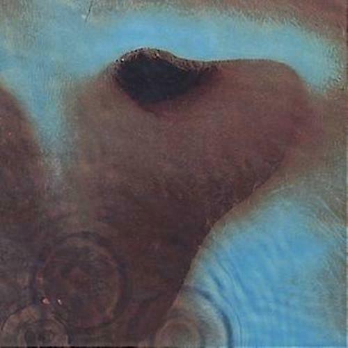 Pink Floyd Meddle CD'si (1994)