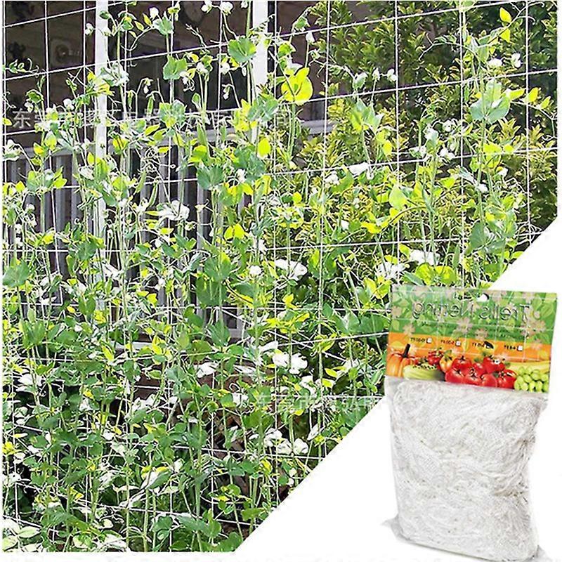 (1.67m x 5m) Climbing Plant Netting, Large Mesh Plant Support Net, Polyethylene Climbing Trellis Netting, for Tomatoes, Grapes, Cucumbers, Other Frui