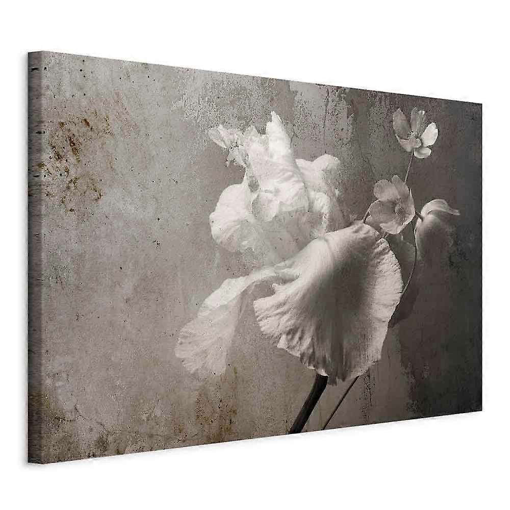 Canvas Print – Venetian Gloss (1 piece) Wide