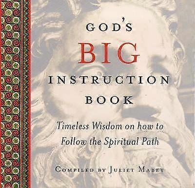 Gods Big Instruction Book Paperback Book
