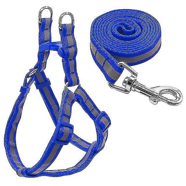 Bird Cage Bird Baths Small Medium Dogs Nylon Reflective Dog Leash Lead Set Size:s Blue