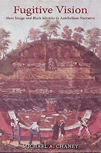 Fugitive Vision: Slave Image and Black Identity in Antebellum Narrative