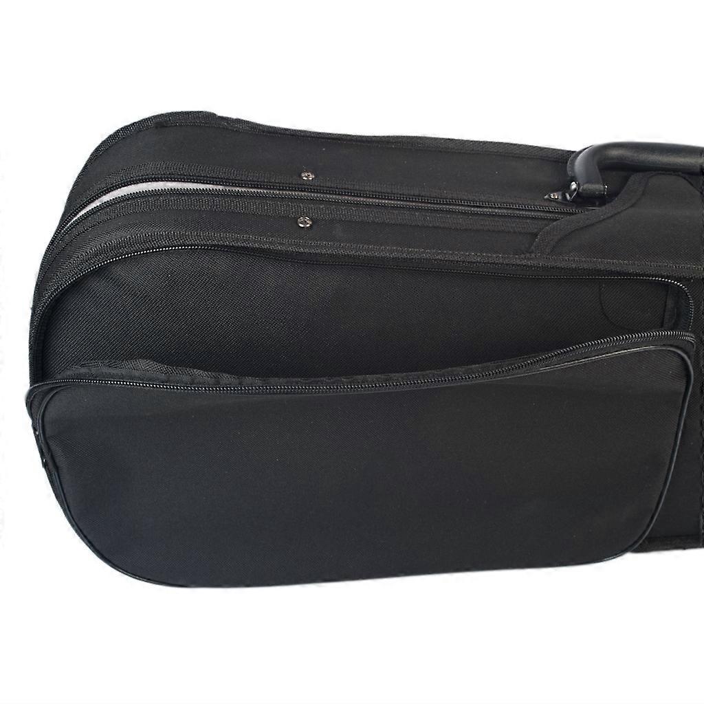 Violin Case 3/4 Size Professional Triangular Shape Violin Hard Case -Silver Inside Violin Parts 