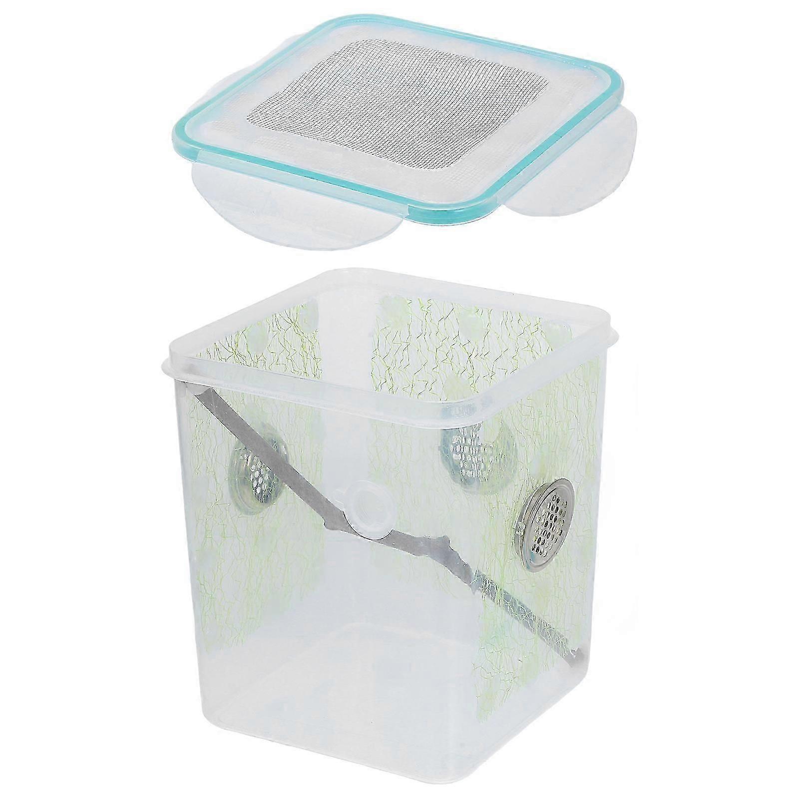 Insect Feeding Box Breeding Case Outdoor Transport Rectangular Clear Design 1Pcs