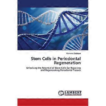 Stem cells in periodontal regeneration unlocking the potential of stem cells for repairing and regenerating periodontal tissues