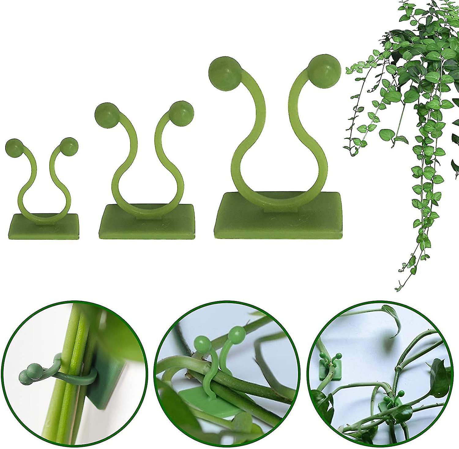 Plant Climbing Wall Fixture Clips, 150 Pcs 3 Sizes Invisible Wall Vines Fixture Wall Sticky Hook, Vi