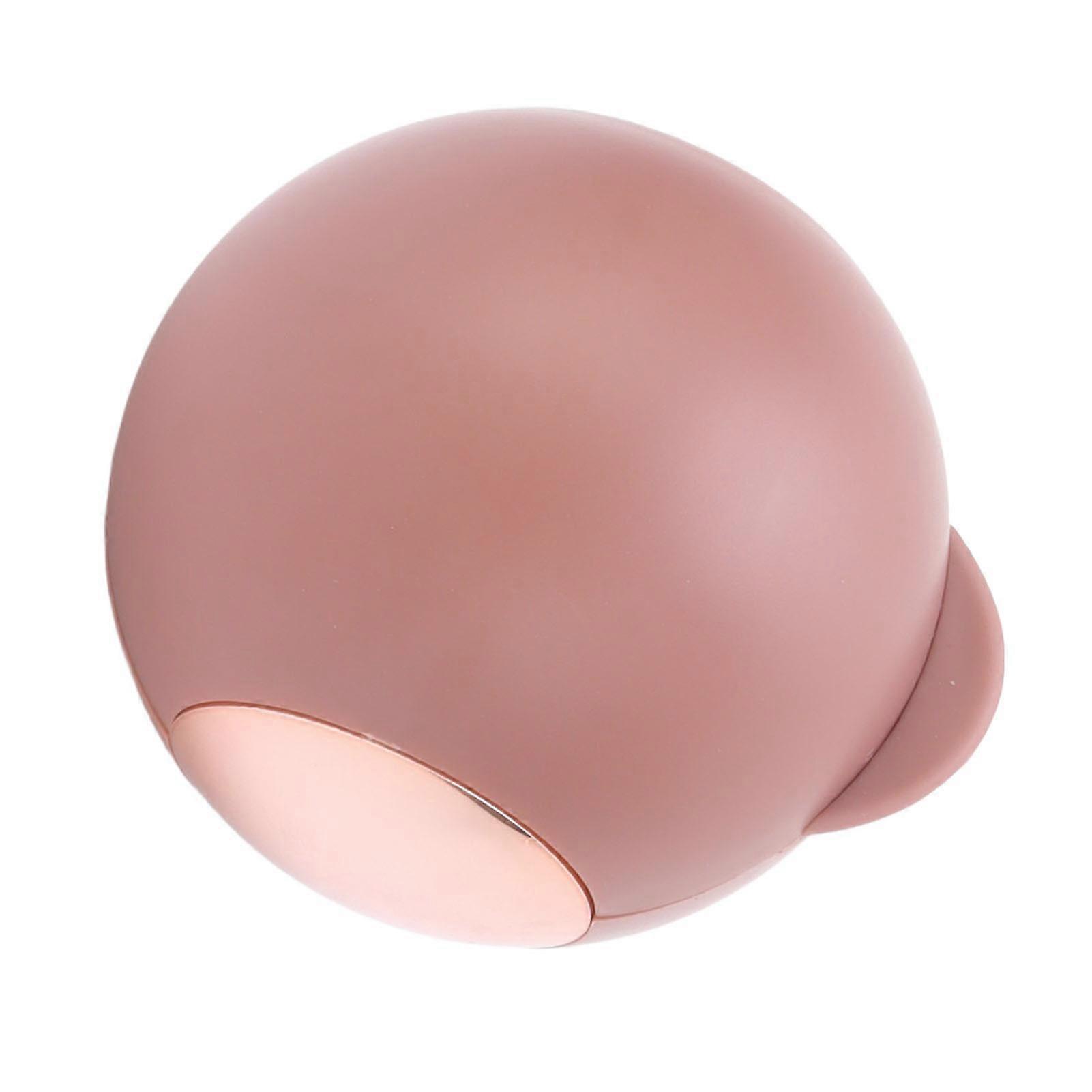 Eco-Friendly Reusable Pet Hair Roller