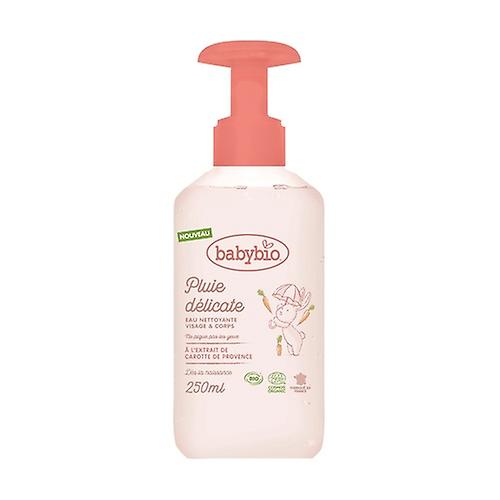 cleaning water 250 ml