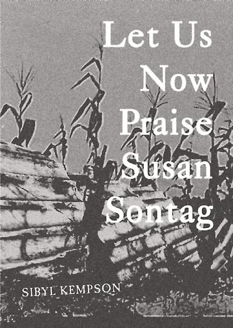 Let Us Now Praise Susan Sontag by Sibyl Kempson Paperback