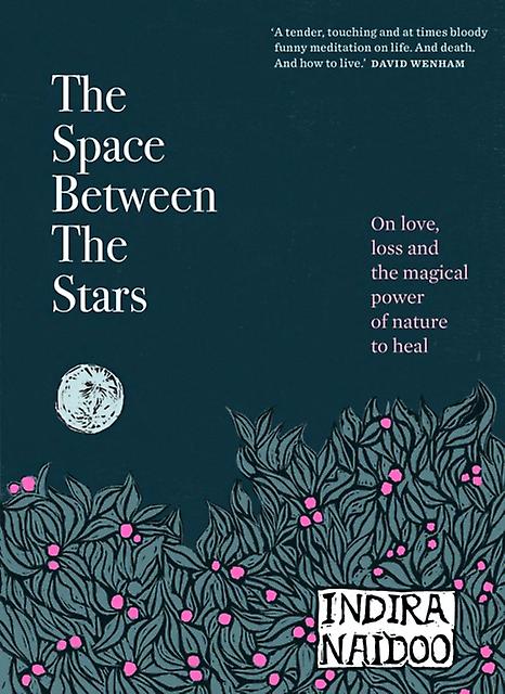 L'espace entre les étoiles - Indira Naidoo