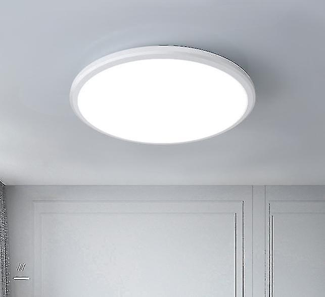 20CM 24w LED ceiling light, ceiling light, white kitchen ceiling light