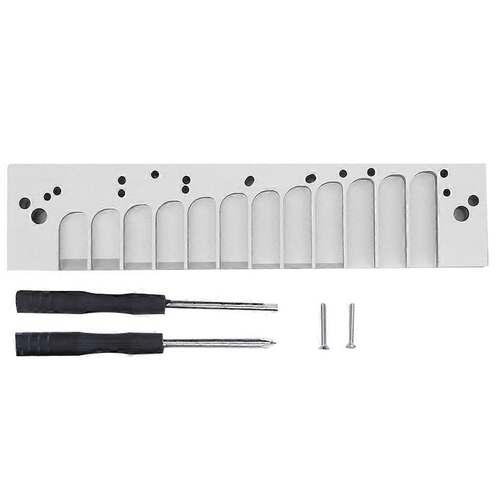 Pettine per armonica 12? Foro Scala Cromatica per HOHNER 270D Originale 270 LA12 TOOTS Piastra ReedSilver