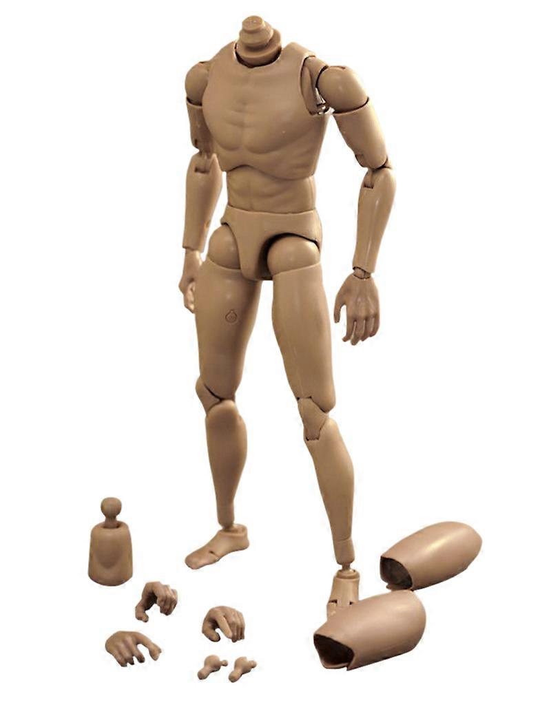 1 stk smal skulder 1:6 actionfigur mannlige uhøflige kroppsleker for ttm18 tmm19