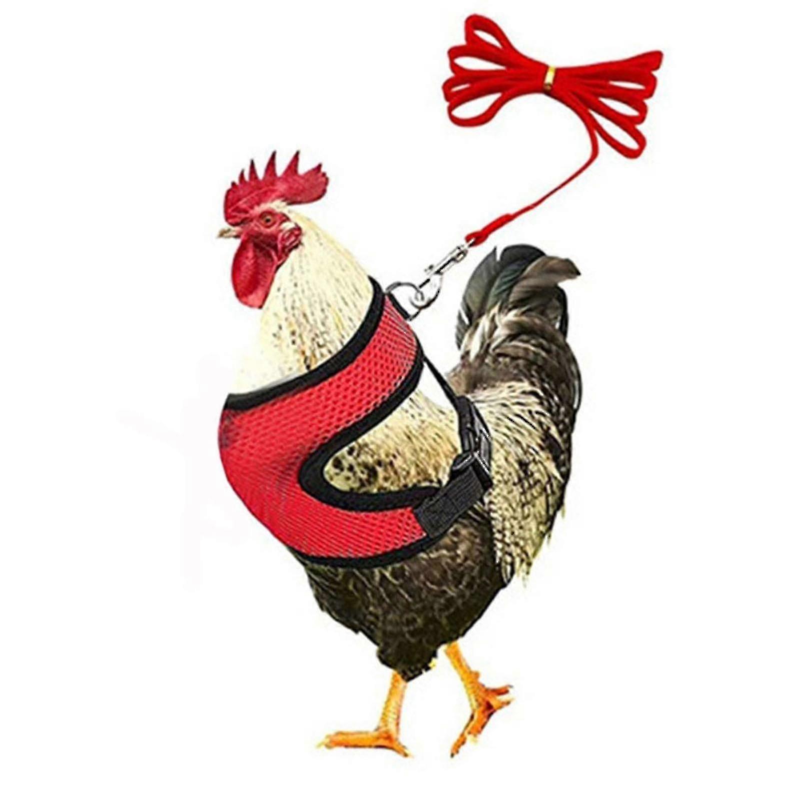 Adjustable Chicken Harness With Leash- Comfortable Hen Vest Breathable Mesh
