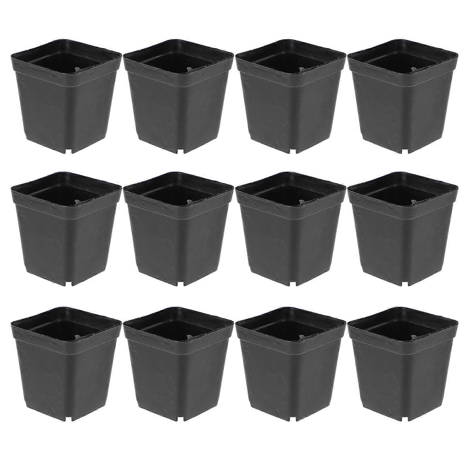 Pots for Seedlings, Supporting Healthy Plant Development