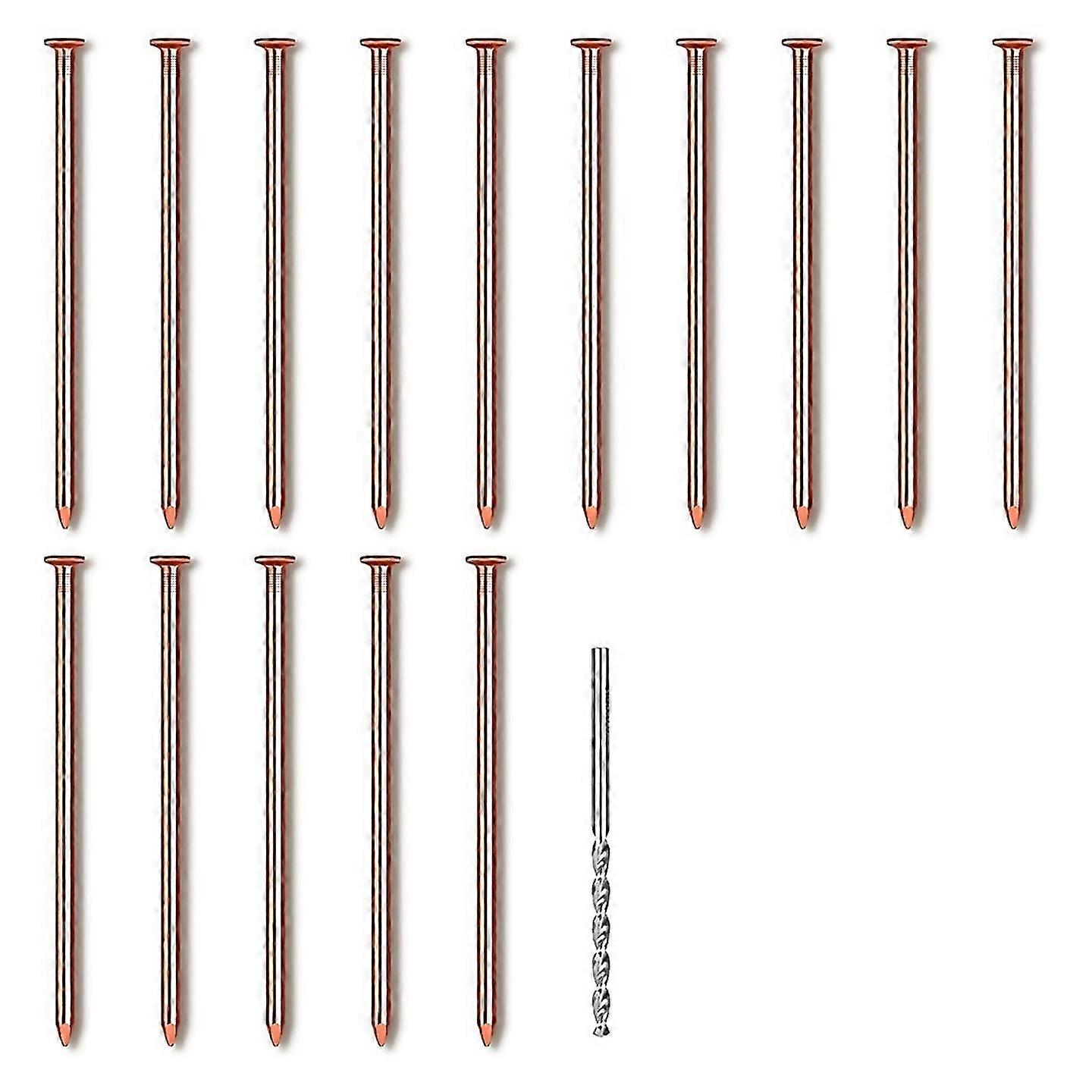 For 15pcs Copper Nails For Killing Trees Stump Root 314