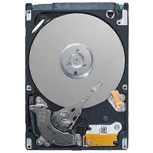 Hårddisk med internt fack, 13g, cu