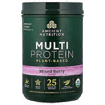 Ancient Nutrition, Multi Proteína, À Base de Plantas, Mix de Frutas Vermelhas, 543 g (1,2 lb)