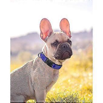 Reflective Dog Collar,12 Colors,soft Neoprene Padded Breathable Nylon Pet Collar Adjustable For Smal