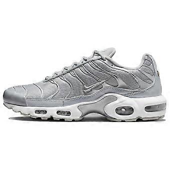 Nike Air Max Plus Metallic Silver FJ1012-095