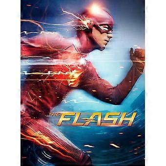 FLASH SUPERHERO  Jigsaw Puzzles TD990