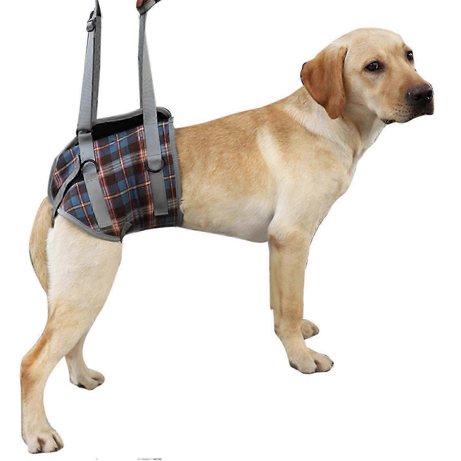 Breathable Hind Support Harness Adjustable