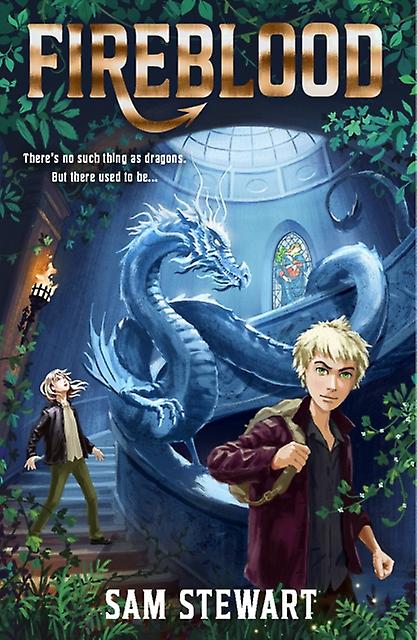 Fireblood by Sam Stewart Paperback