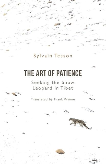 The Art Of Patience by Sylvain Tesson Paperback Book