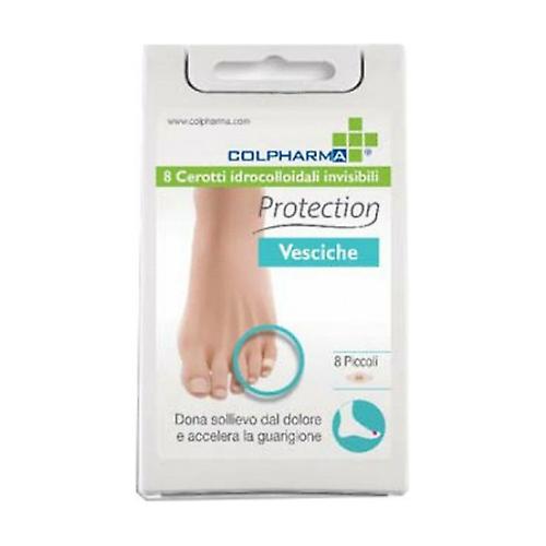Protection Small Blister Plasters 2 units