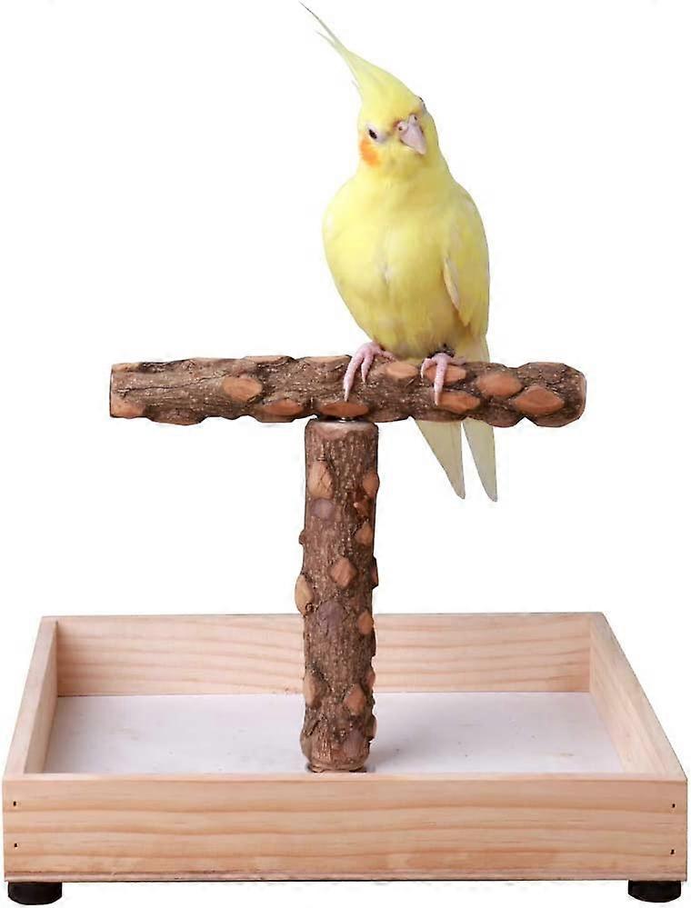 Bird Stand Tabletop,Portable Tee Stand, Parrot Play Stand Perch Gym for Small Medium Parrot