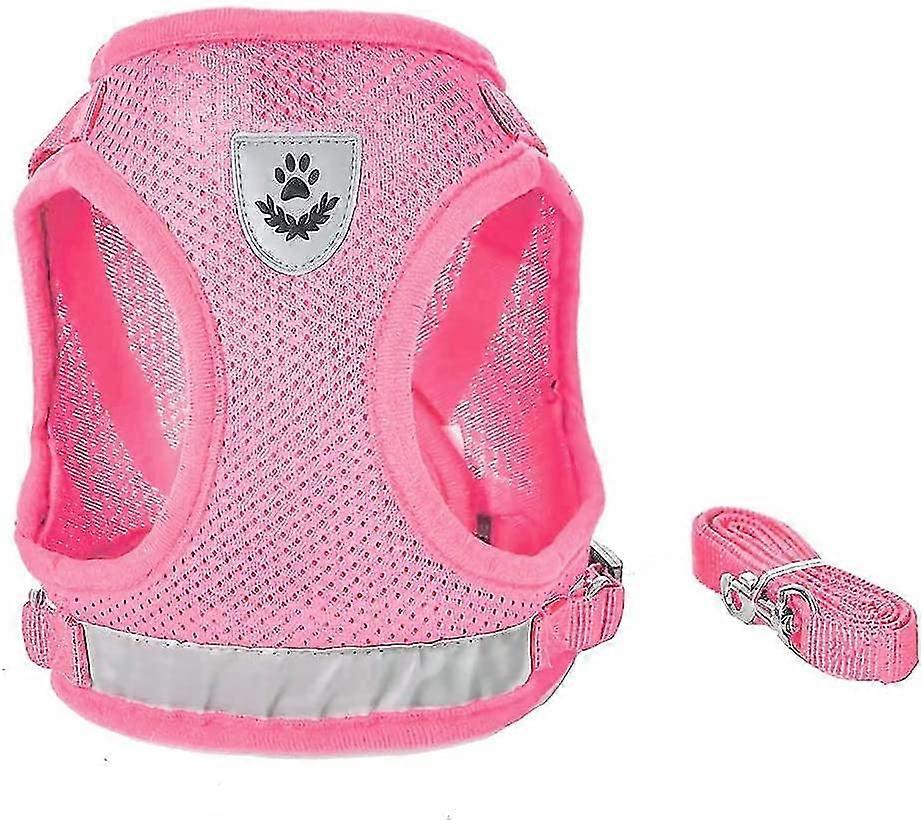Hundsele och koppel Set-MXBC