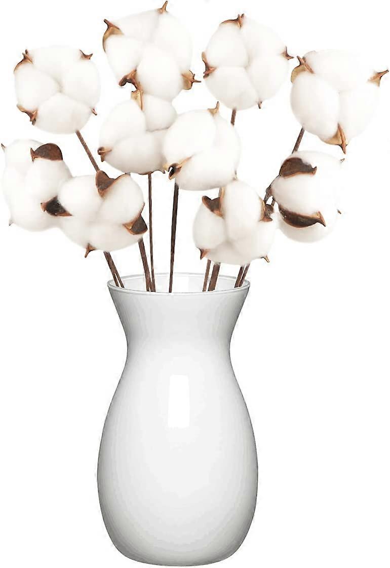 10 pacotes de flores de algodão natural flores secas algodão caule flor natural falsa ramos de algodão falsos