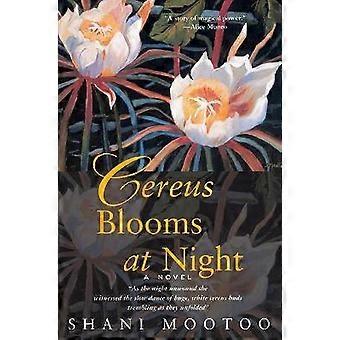 Cereus Blüten in der Nacht