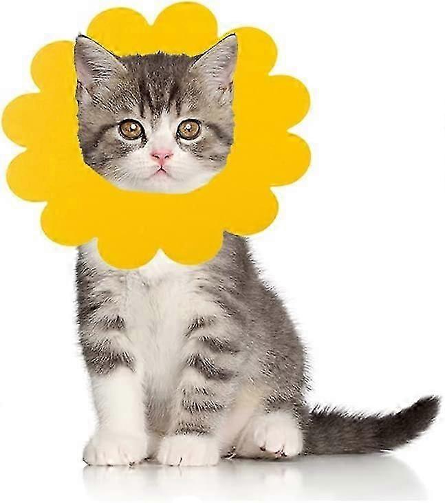 5 Pieces Pet Cone Collar, Soft Recovery Cone for Cats Puppy Rabbit, Elizabethan Collars Cat Cones Flower Shape Loops-Protective Wound Healing. Not Aff