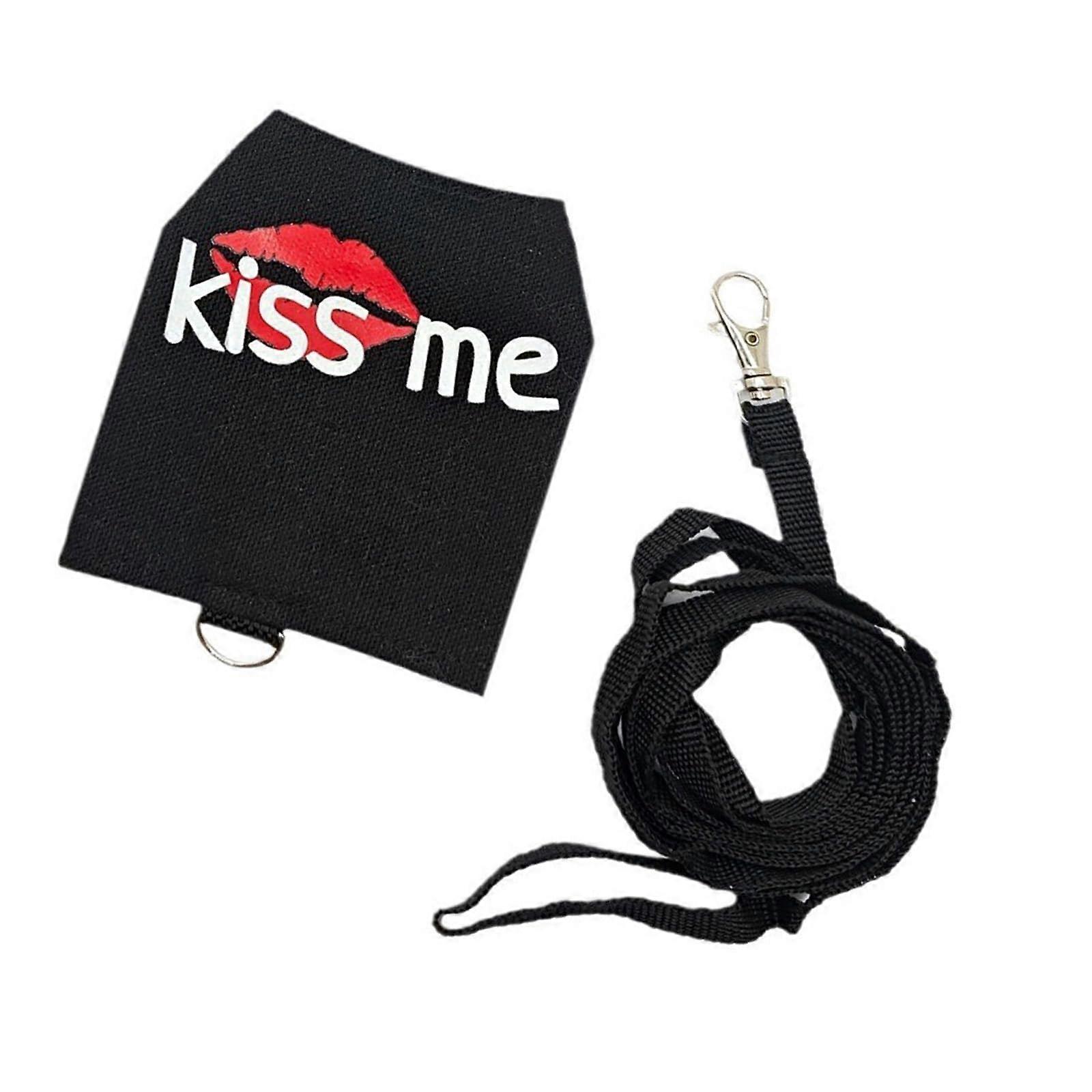 Noctilucous Eidechsengeschirr Set for Small Pets, Black Leash and Harness for Reptiles, Outdoor Walking and Training Activities