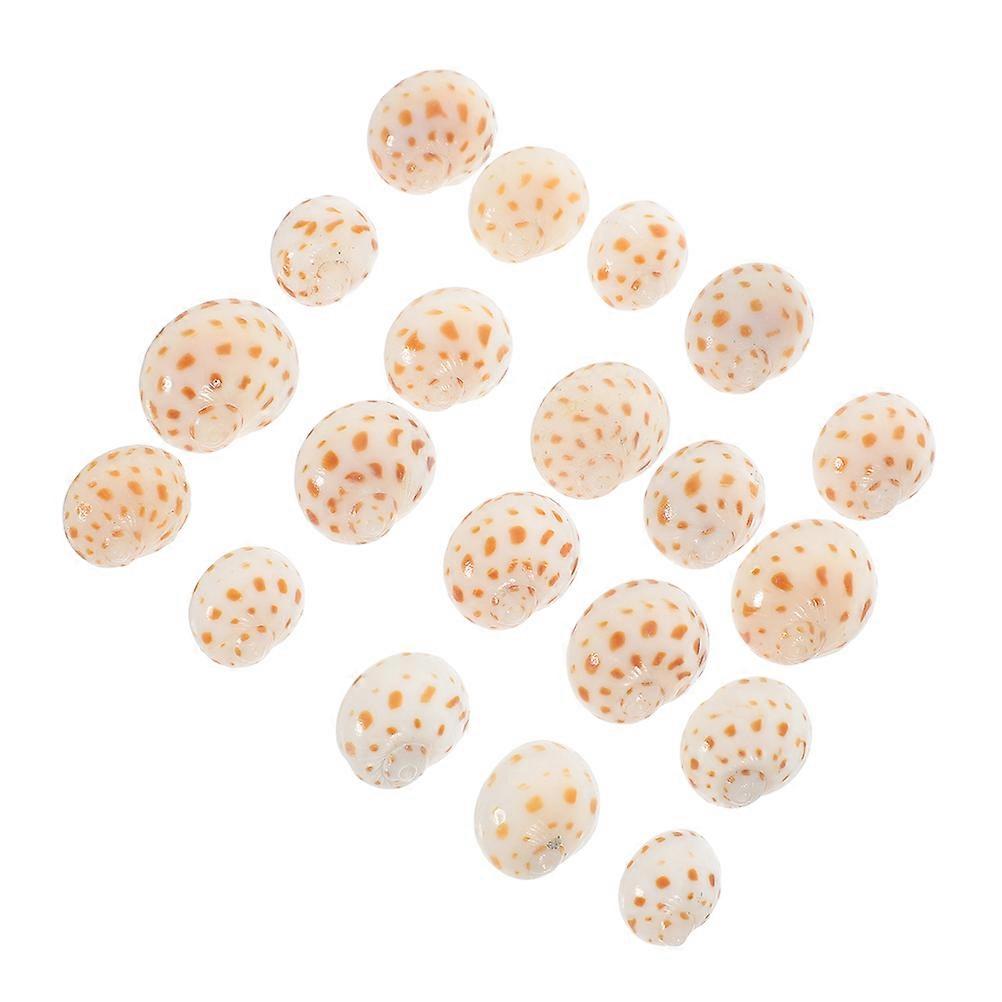 30Pcs Beach Seashell Decor Garden Decor Multi Fish Lovers 1.50X1.50X1.00CM