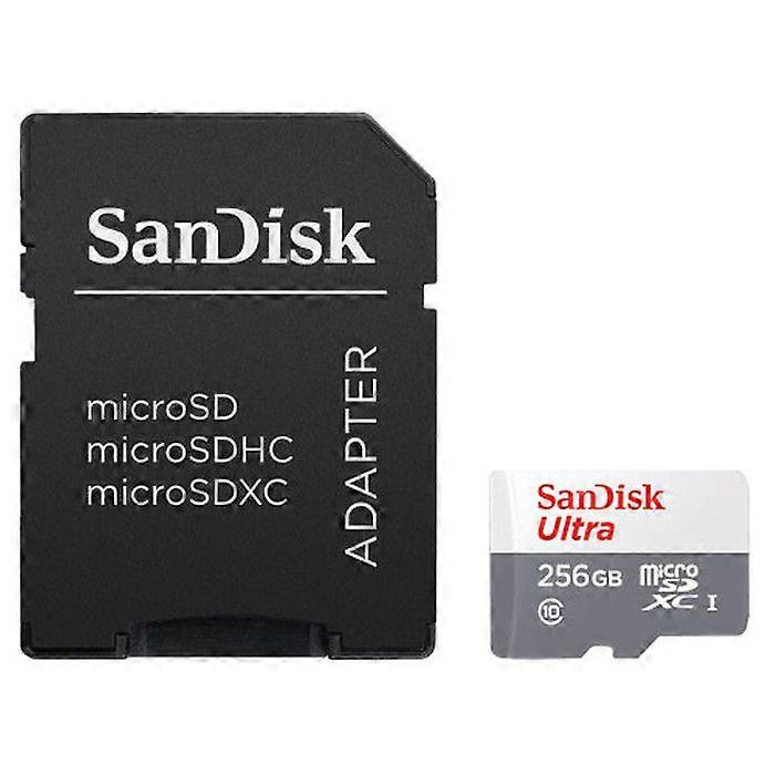 Carte mémoire - SANDISK - SDSQUNR-256G-GN6TA - 256 Go - Micro SDXC - 100 Mo/s