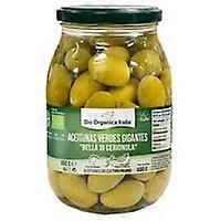 Giant green olive 950 g