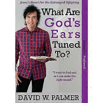 What Are God's Ears Tuned To - David W. Palmer - Paperback - en Book