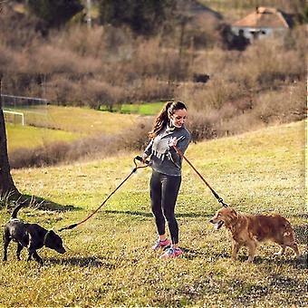 Dog leash, 2m long dog training leash, ideal for hiking, camping, training, beach, suitable for small and medium dogs. [XR]
