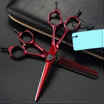 Professional Hair Cutting Scissors Set 6 Inch Stainless Steel Barber Thinning Shears with Precision Thinning Control and Ergonomic Grip