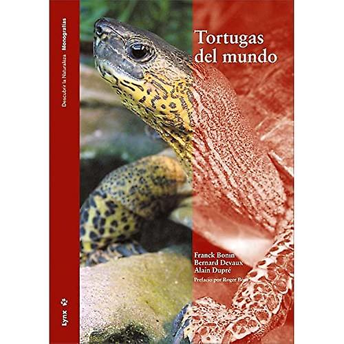 Tortugas del mundo