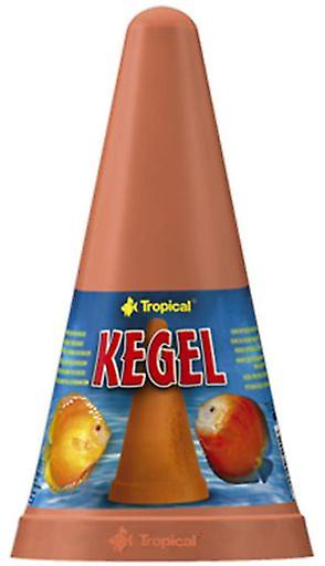 Tropical Disk Cone Sunsets (Fish , Aquarium Accessories , Breeding Crates)