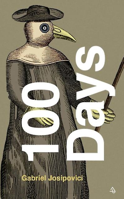 100 Days by Gabriel Josipovici Paperback