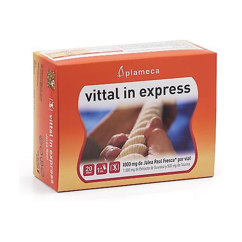 Vittal In Express Royal Jelly 20 ampoules of 10ml