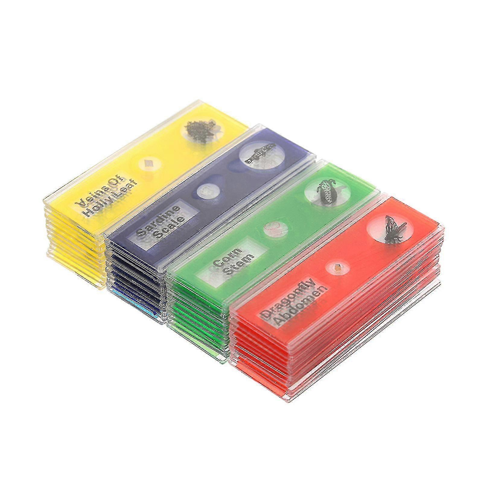48pcs/set Plastic Prepared Microscope Slides Animals Insects Plants Sample Specimens Slides Set With Color Labels For Kids Students