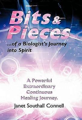 Bits  Pieces A Powerful Extraordinary Continuous Healing Journey