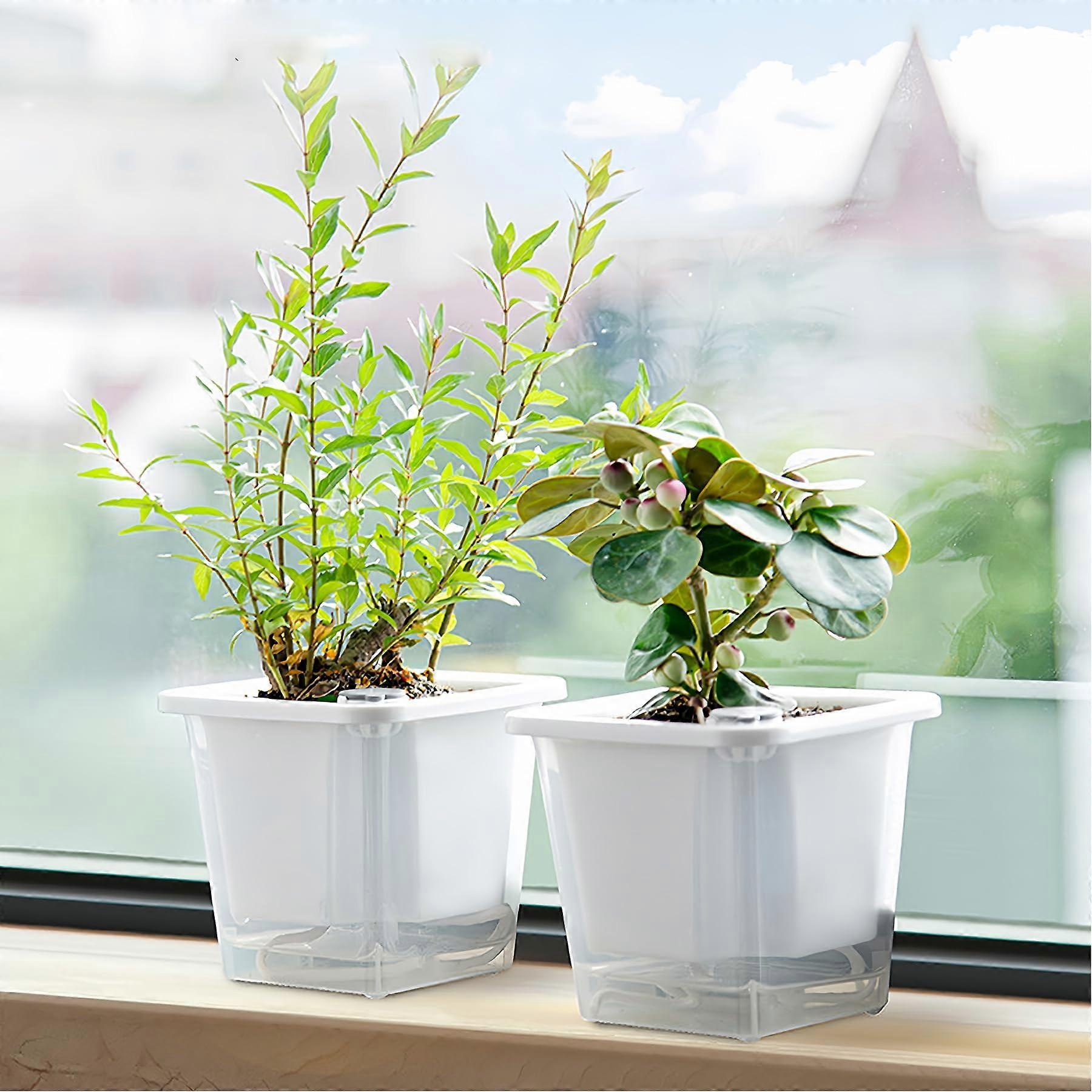 PLANT CAPS 3 PACKAGE Self -irrigation containers closed and transparent square flower pots for external plants