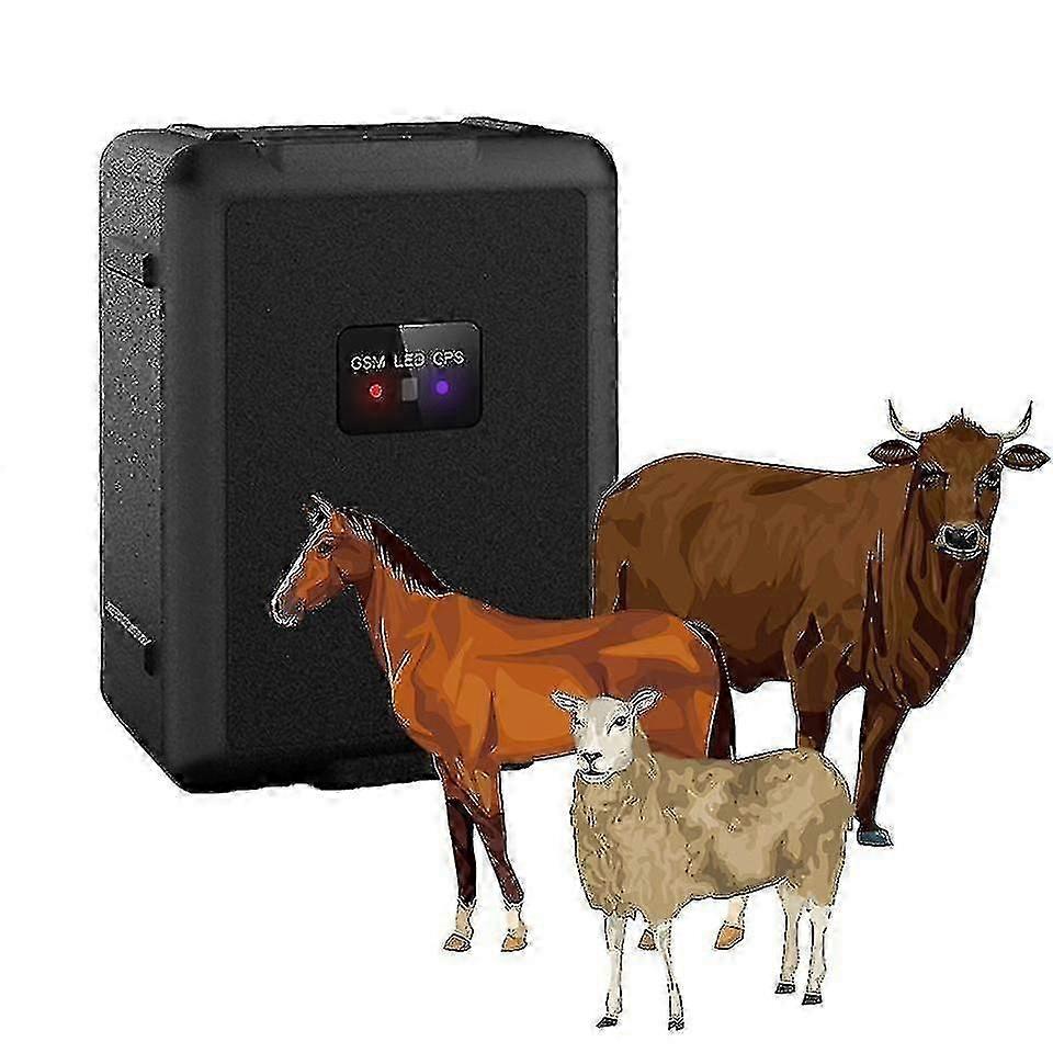 Waterproof 4G GPS Tracker for Animal Tracking Device