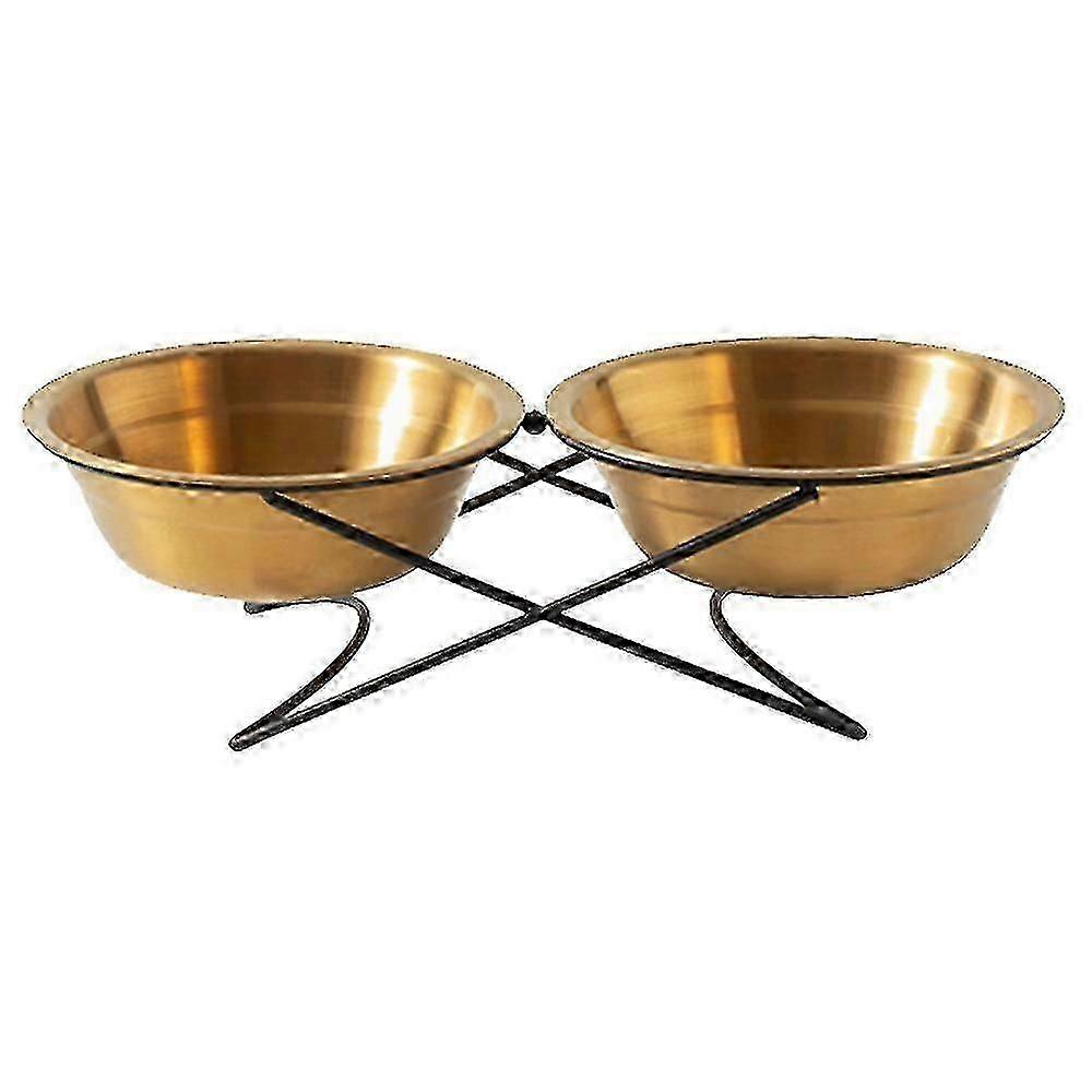 קערת חתול לכלבים מנירוסטה לארוחות ותמיכה בהידרציה